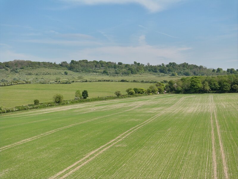 Aerial view across a mixed arable field bordered by a mature hedgerow, with rough pasture and a wooded chalk escarpment beyond